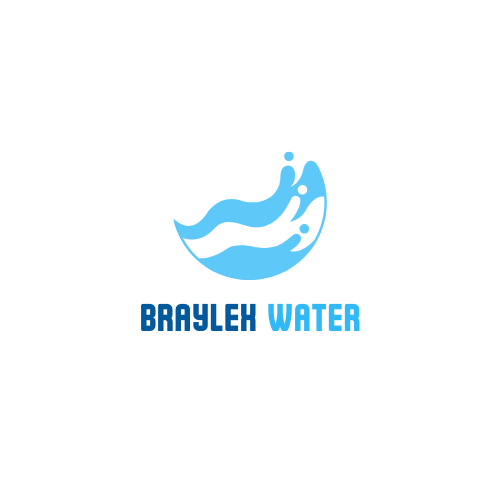 Braylex water logo